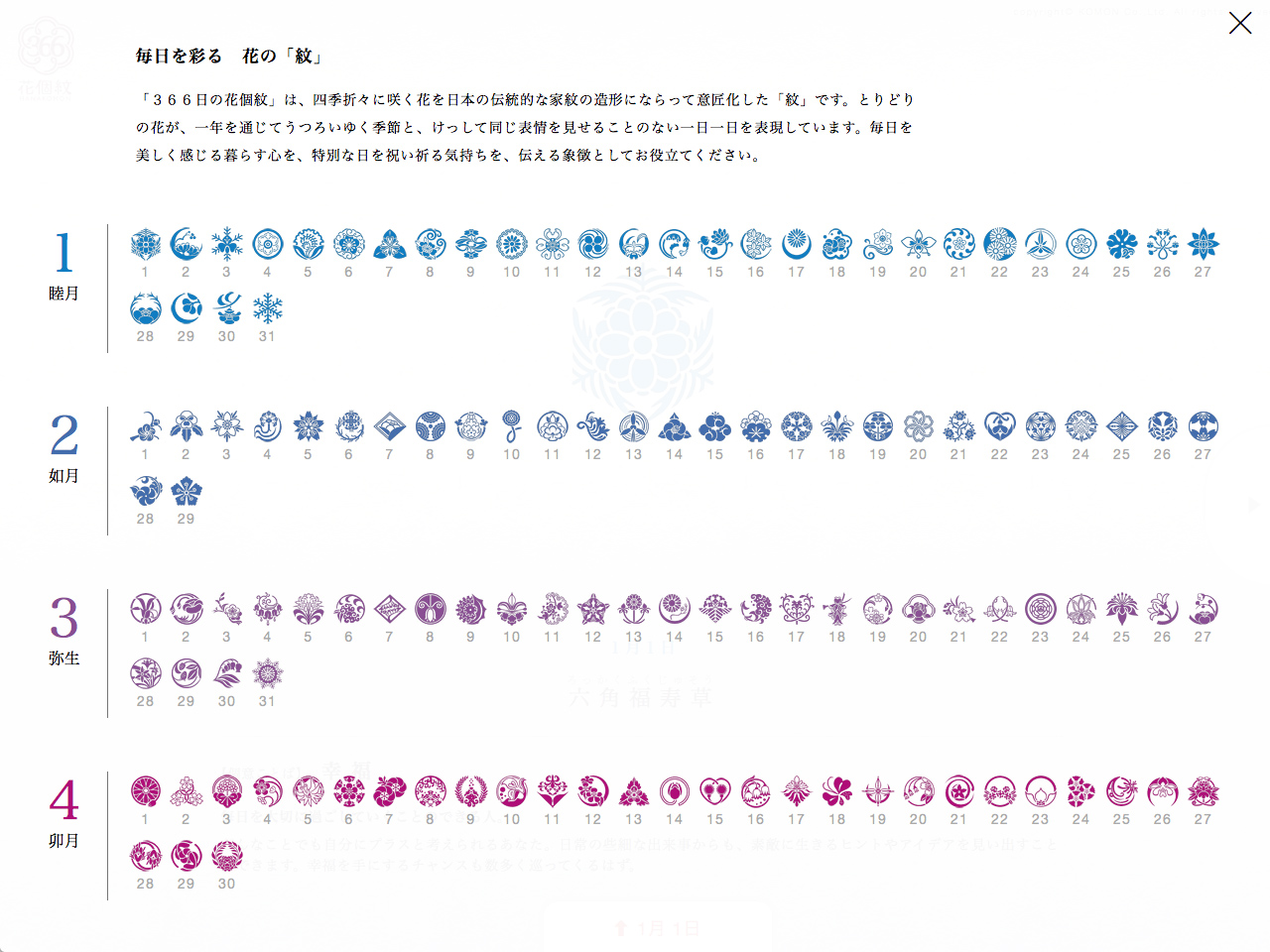 366日の花個紋カレンダー
