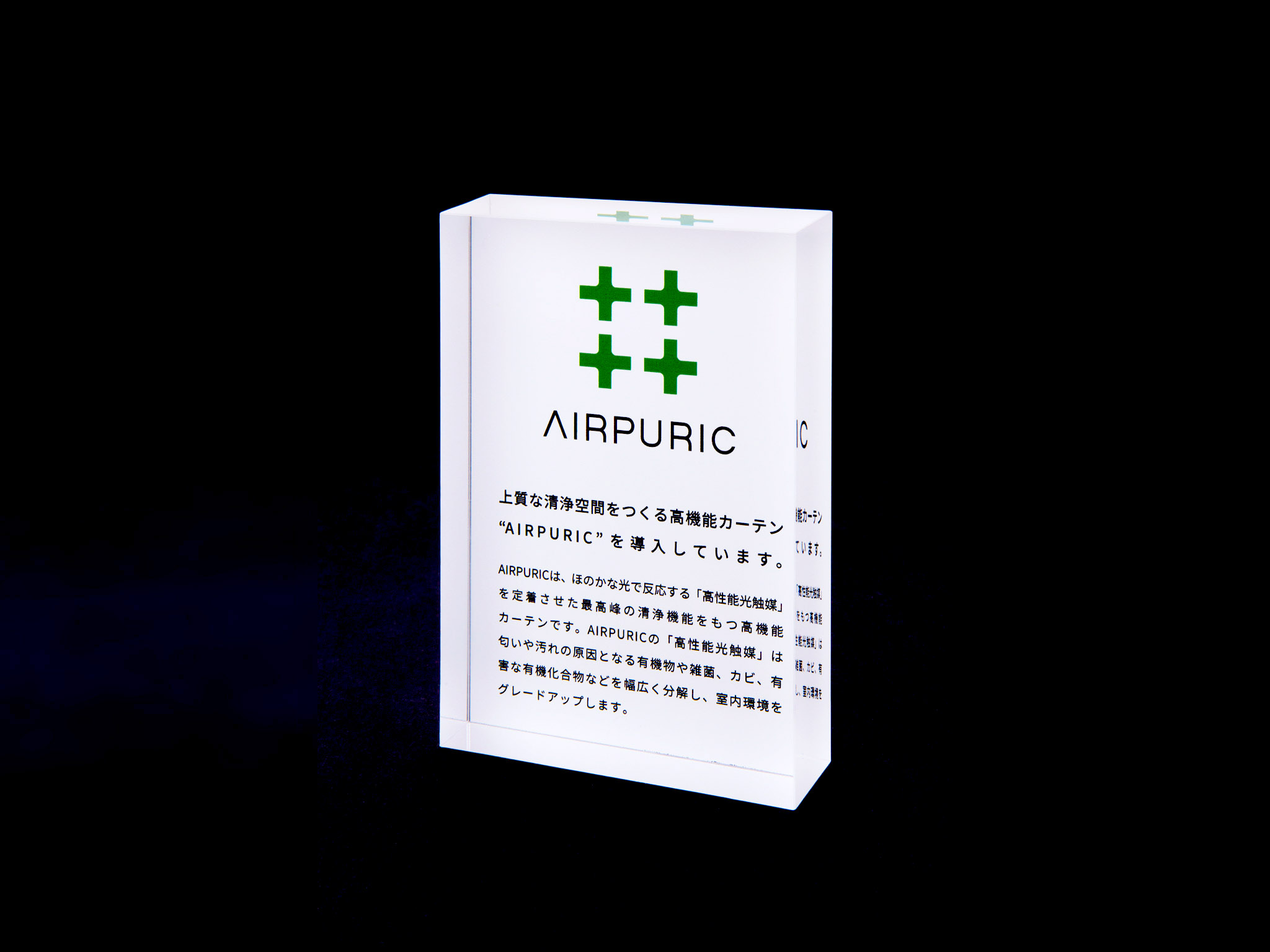 AIRPURIC Logo